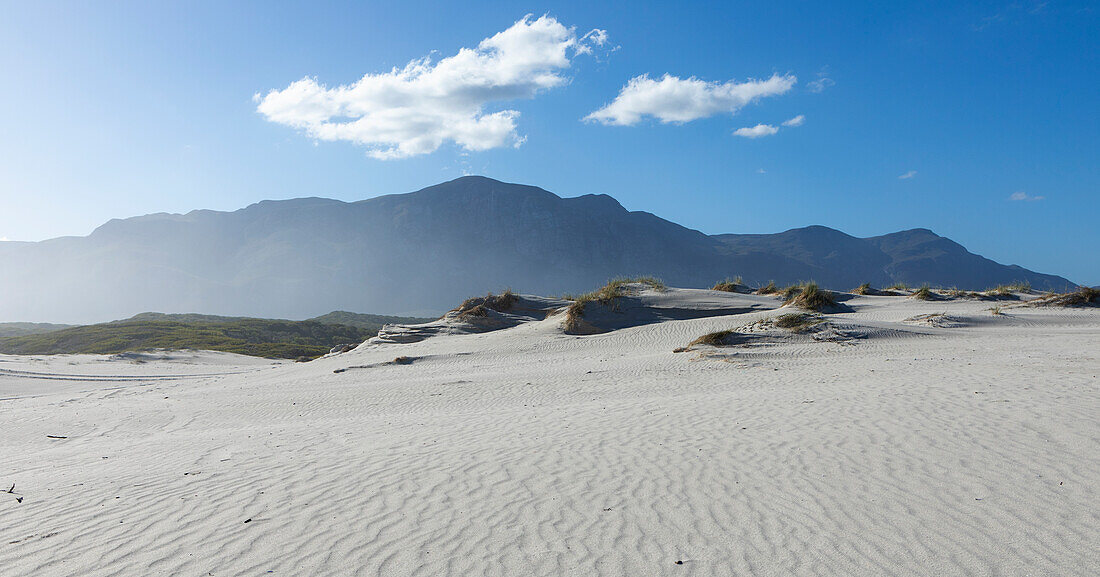 South Africa, Hermanus, Sandy landscape in Walker Bay Nature Reserve