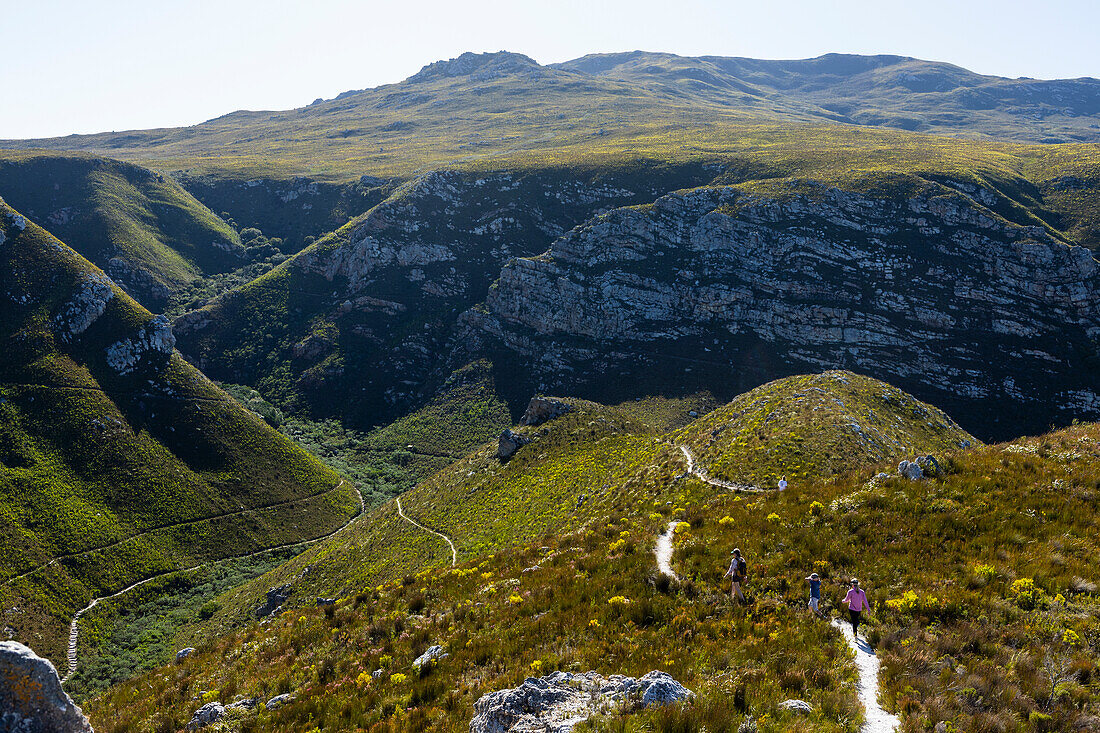 Südafrika, Hermanus, Wanderweg in den Bergen im Fernkloof Naturreservat