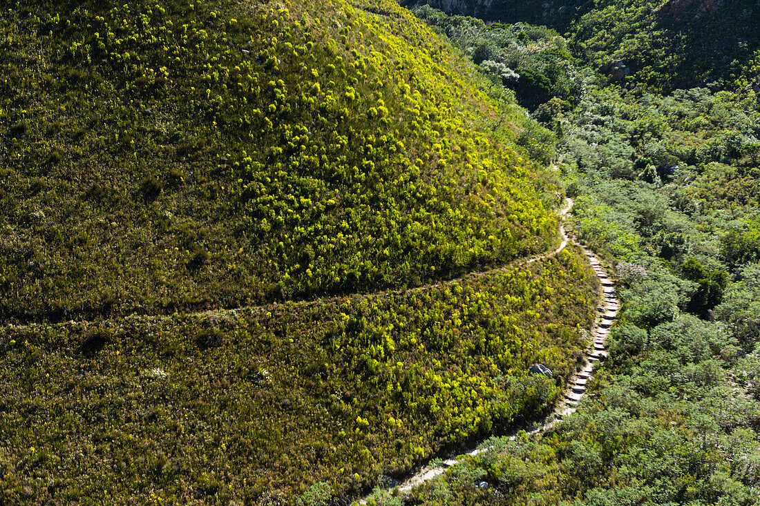 Südafrika, Hermanus, Wanderweg in den Bergen im Fernkloof Naturreservat