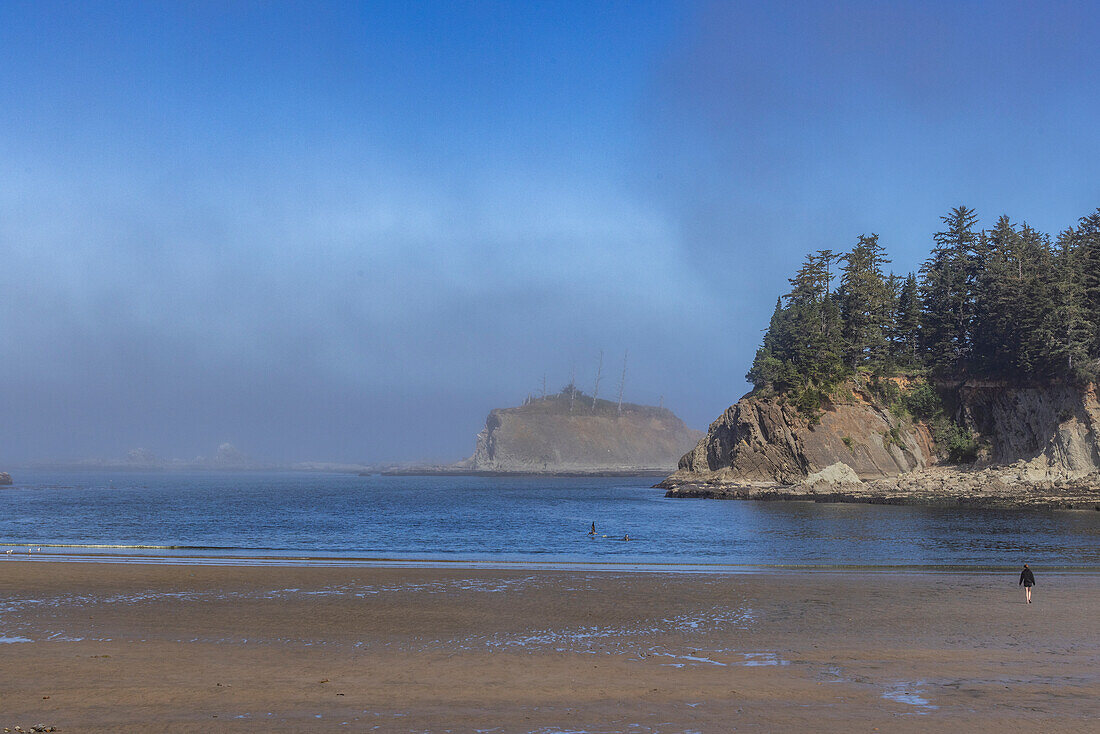 USA, Oregon, Coos Bay, Rocky headlands and forest along coast