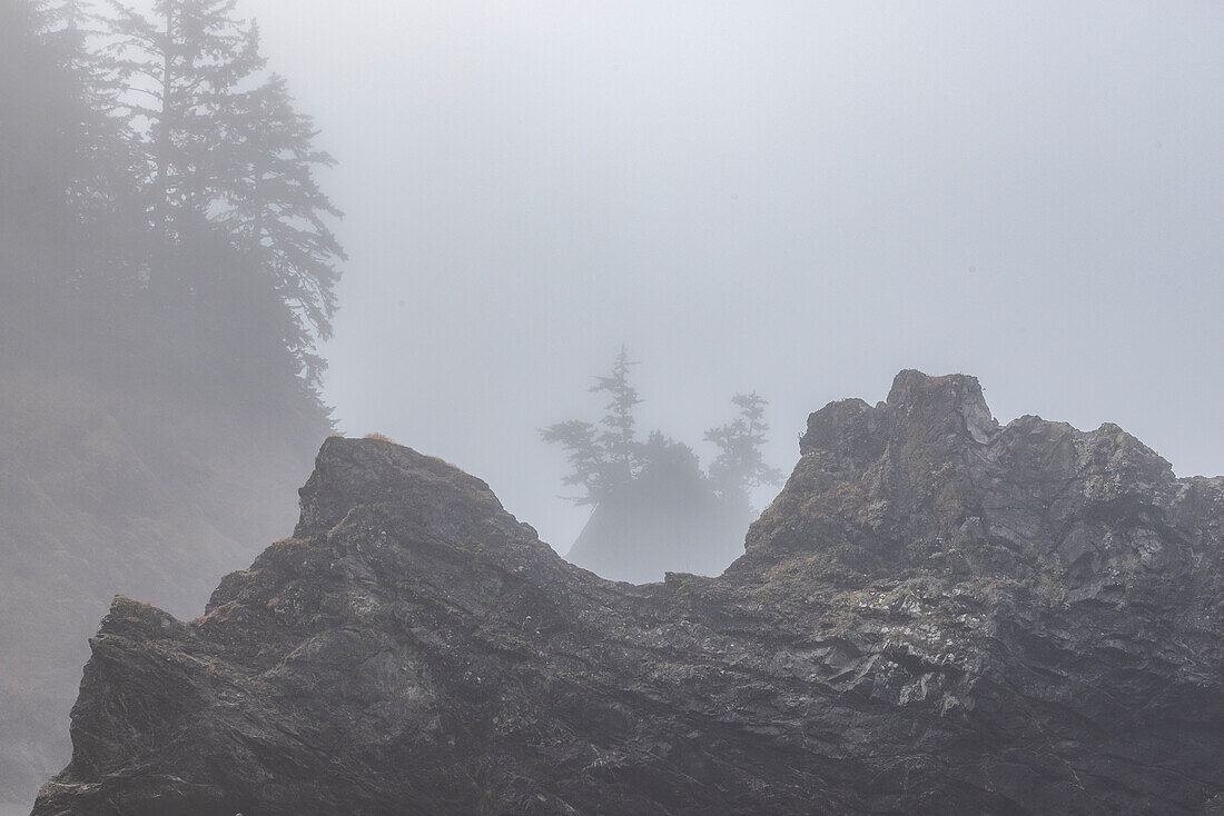 USA, Oregon, Brookings, Rocky coastline on misty day