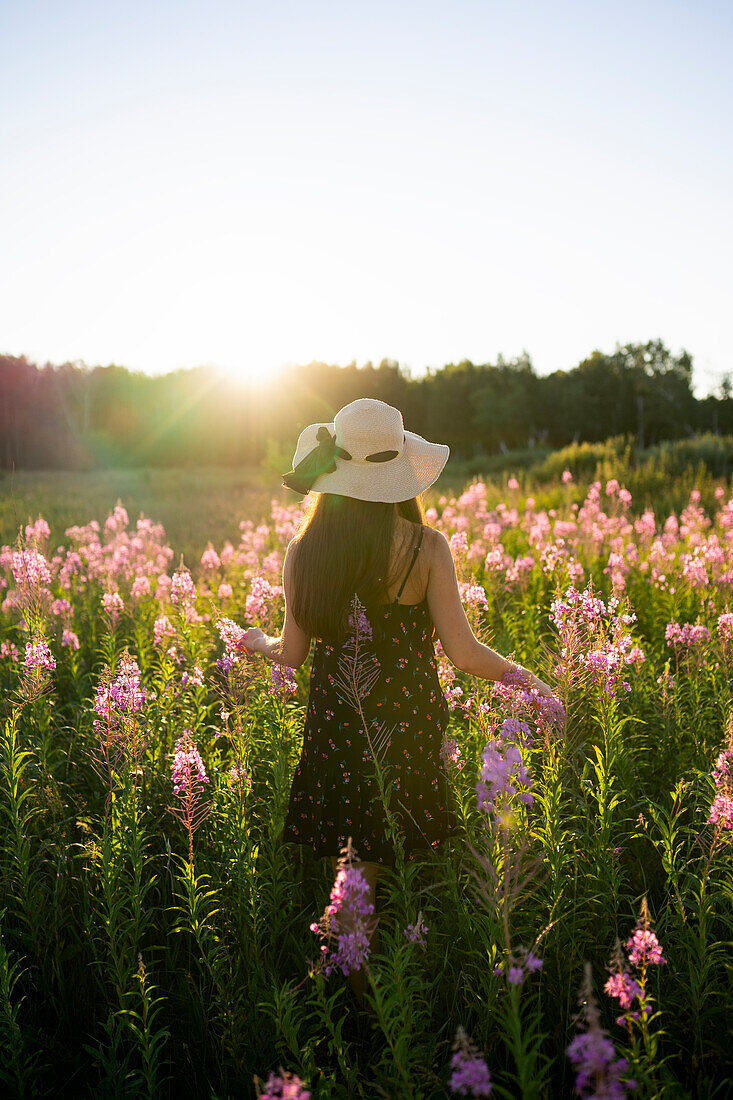 Rear view of woman in straw hat standing in meadow at sunset