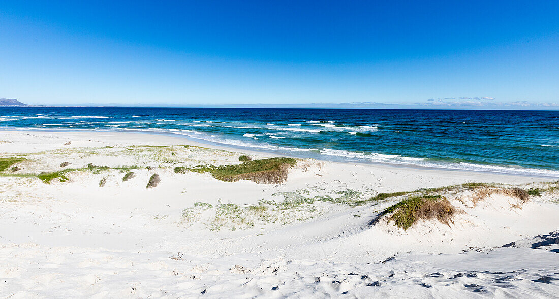 View of beach and ocean in Walker Bay Nature Reserve