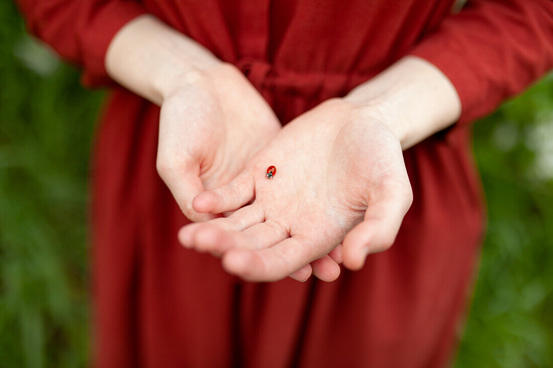 Young woman holding ladybug in hands on meadow