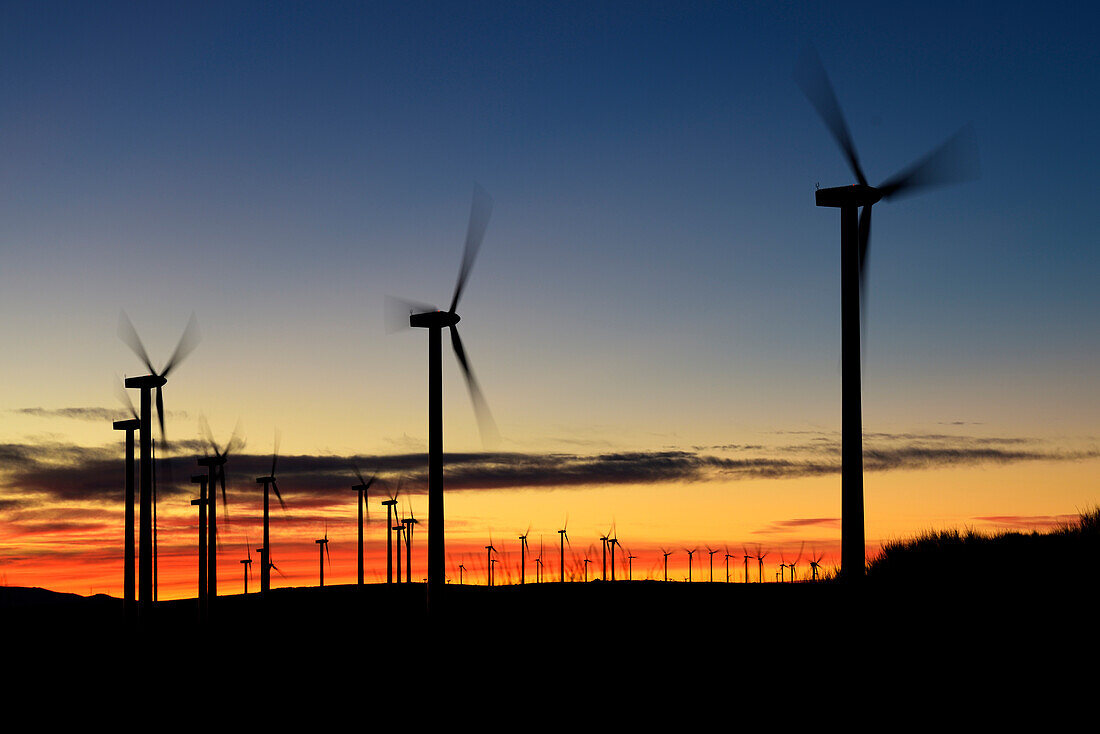 Windmühlen bei Sonnenuntergang