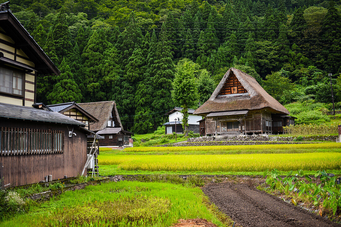 Gassho-zukuri-Dorf von Ainokura