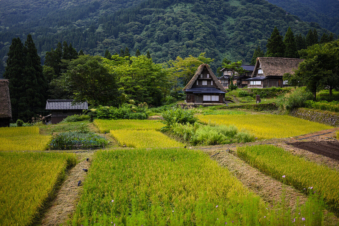 Gassho-zukuri-Dorf von Ainokura