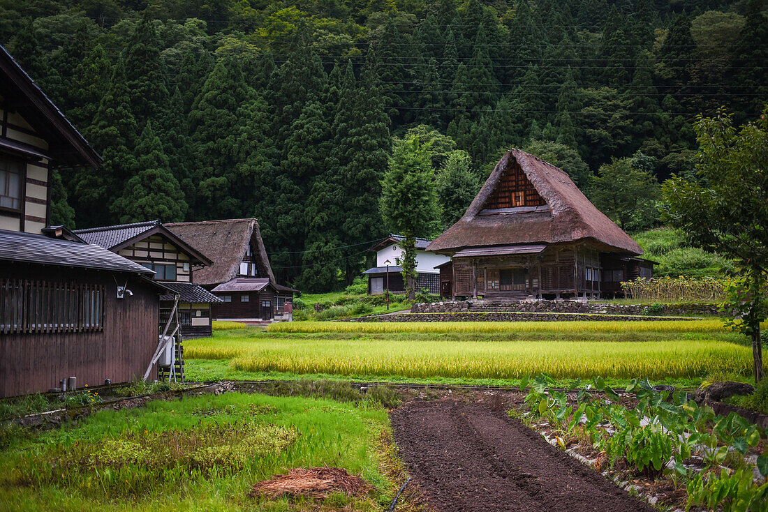 Gassho-zukuri-Dorf von Ainokura