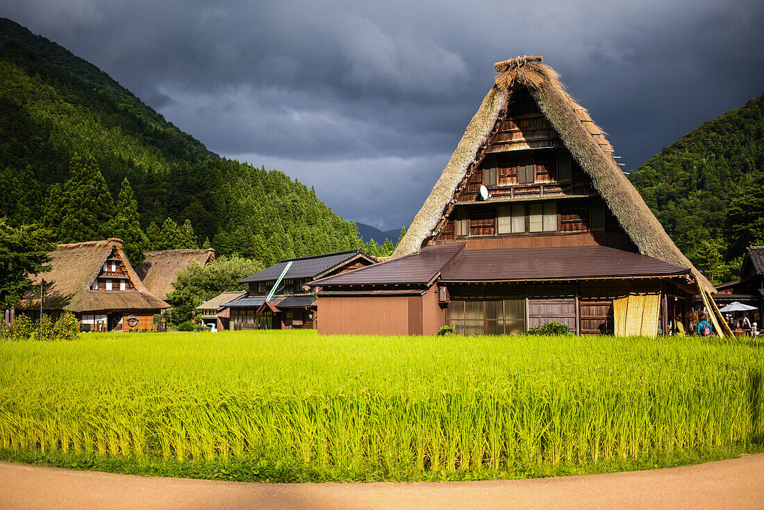 World Heritage Suganuma Gassho-zukuri Village