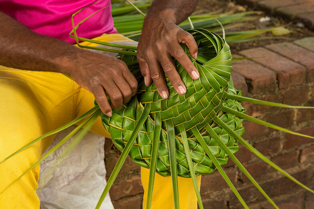 A Dominican man weaves a hat from palm fronds in Columbus Park in the Colonial City of Santo Domingo, Dominican Republic. UNESCO World Heritage Site of the Colonial City of Santo Domingo.