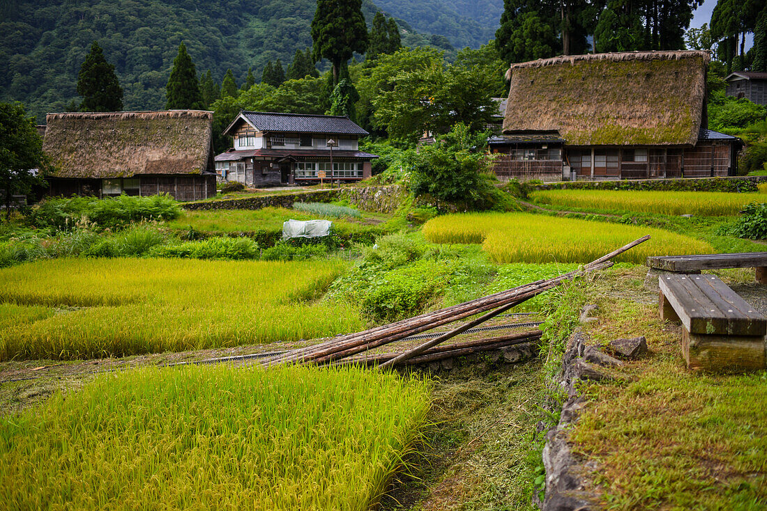 Gassho-zukuri-Dorf von Ainokura