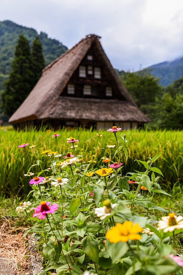 World Heritage Suganuma Gassho-zukuri Village