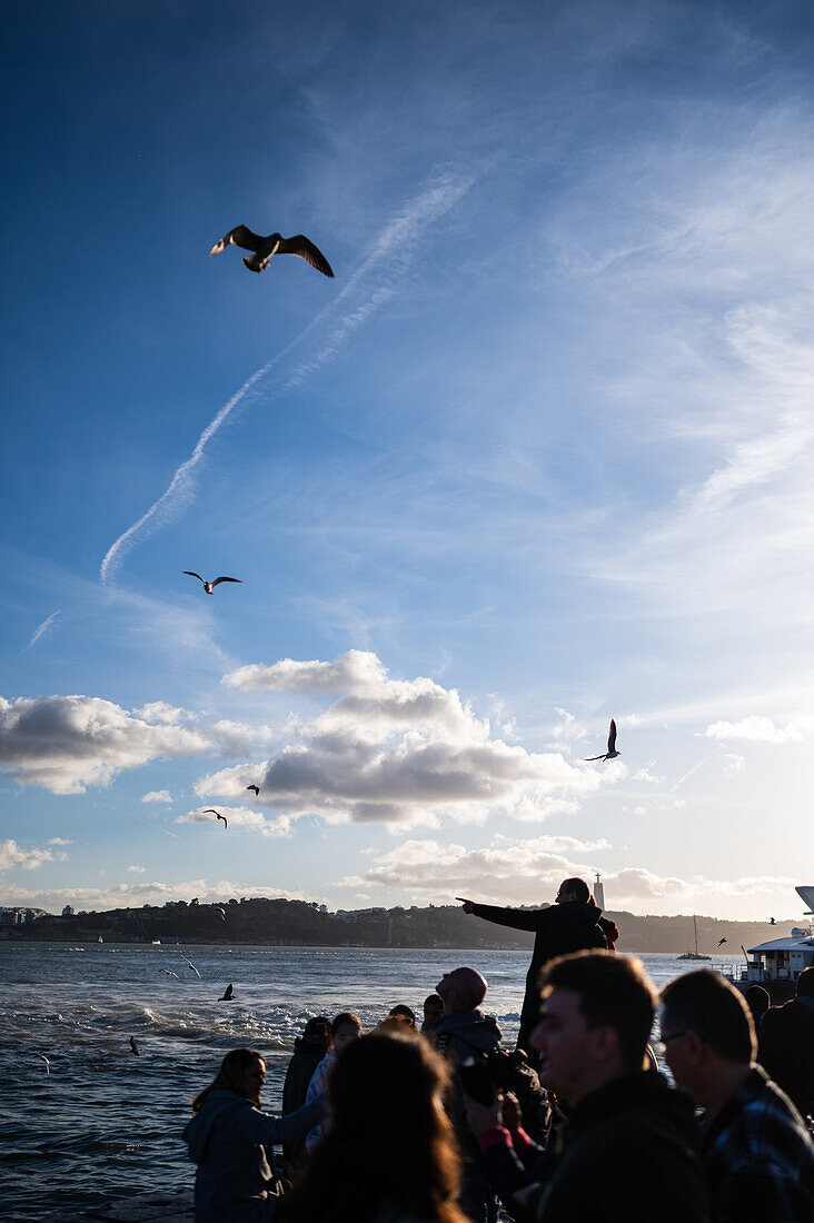 Ribeira das Naus in Lisbon