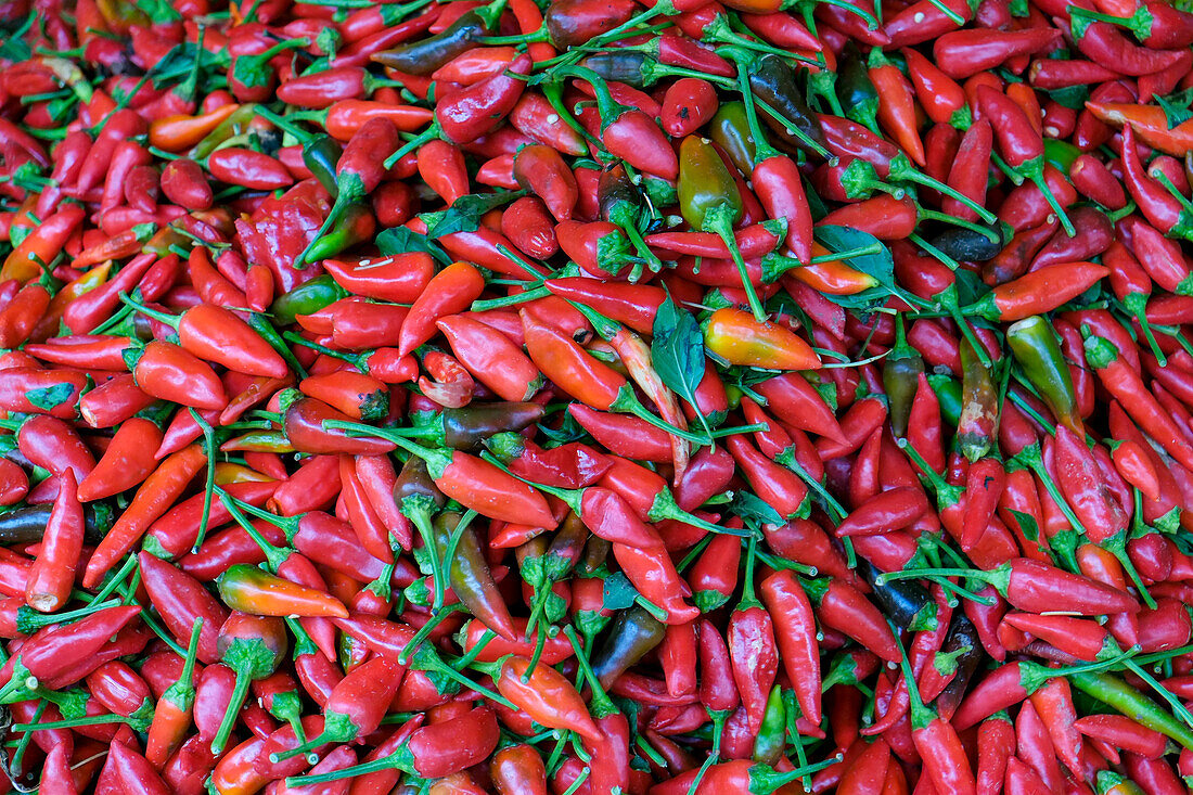 Fes, Morocco. Red hot chiles for sale in the market