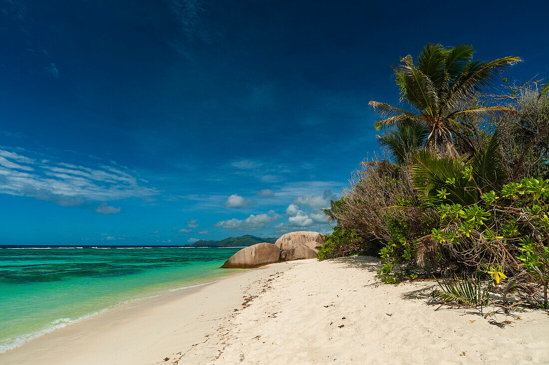 A sandy tropical beach with palm trees and large boulders on the Indian Ocean. Anse Source d 'Argent Beach, La Digue Island, Seychelles.