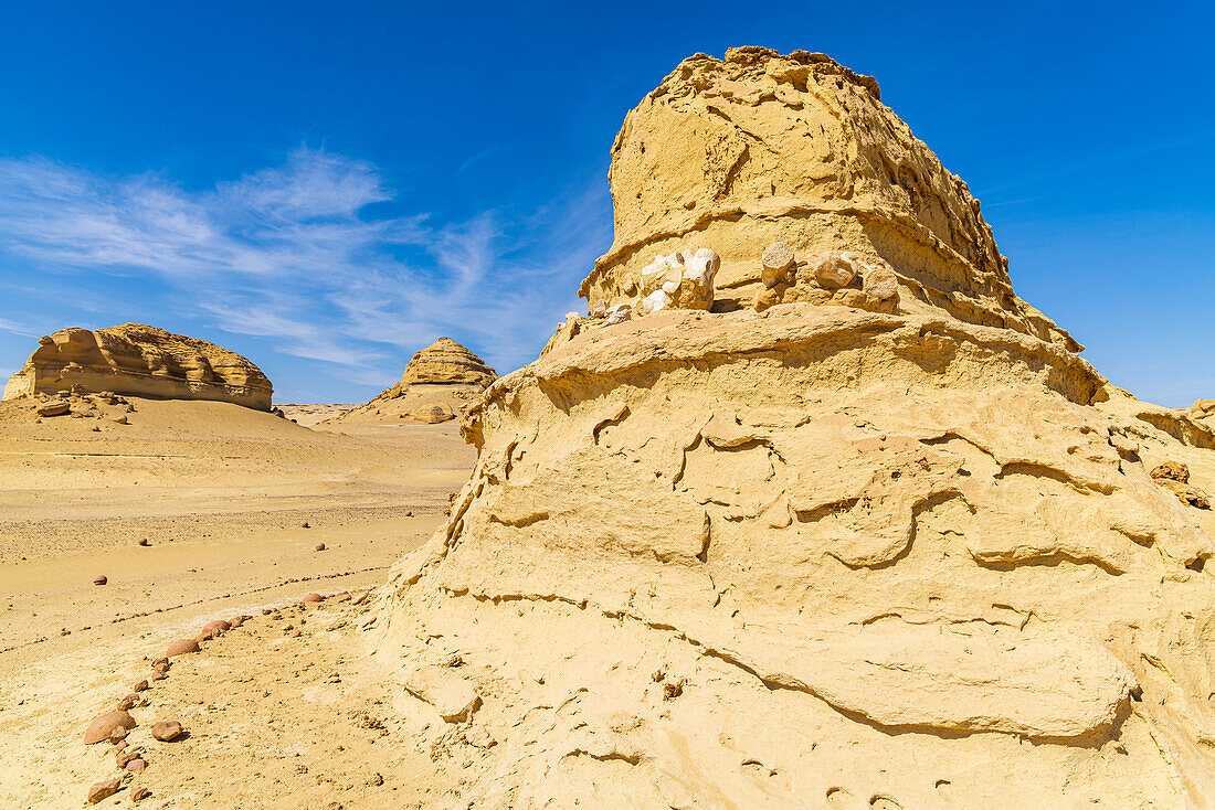 Wadi al Hitan, Faiyum, Ägypten. Walfossil auf einer erodierten Klippe entlang des Lehrpfads in der paläontologischen Stätte Wadi el-Hitan.