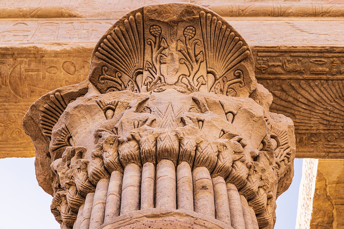 Agilkia Island, Aswan, Egypt. Capital of a column carved like a palm, at the Philae Temple, a UNESCO World Heritage Site.