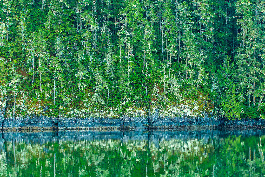 Canada, British Columbia, Inside Passage. Forest reflection in water.