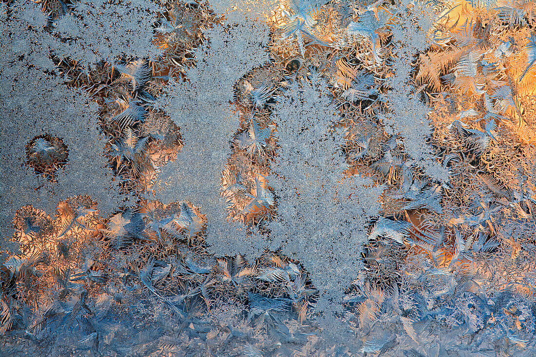 Canada, Manitoba, Winnipeg. Sunrise on window frost patterns in winter.