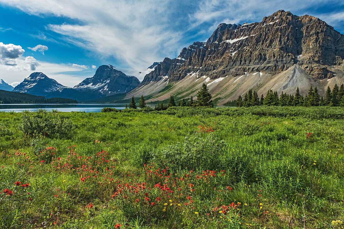 Kanada, Alberta, Banff-Nationalpark. Landschaft mit Bergen und Wiese neben dem Bow Lake.