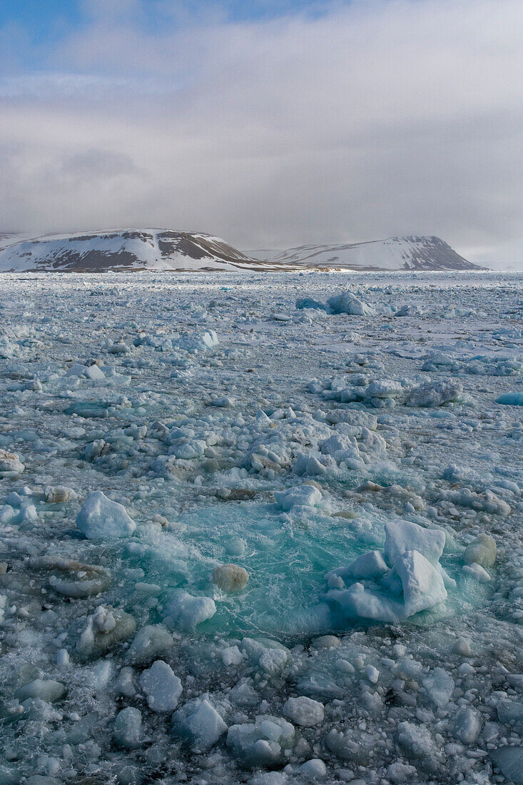 Meereis im Fjord Wahlenbergfjorden. Nordaustlandet, Svalbard, Norwegen