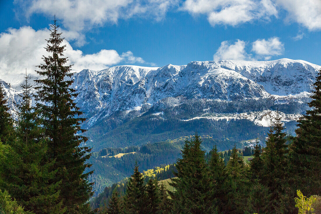 Romania, Transylvania, Carpathian Mountains. Hillside.