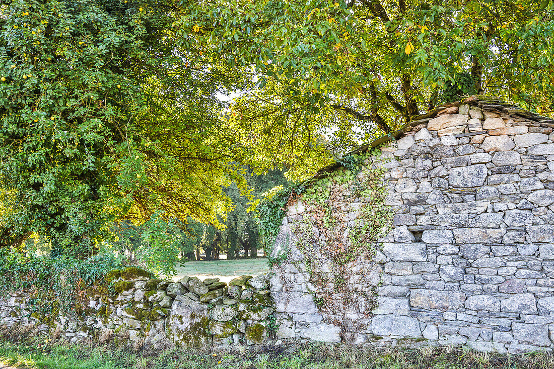 Spain, Galicia. Countryside in Galicia between Vilei and Morgade