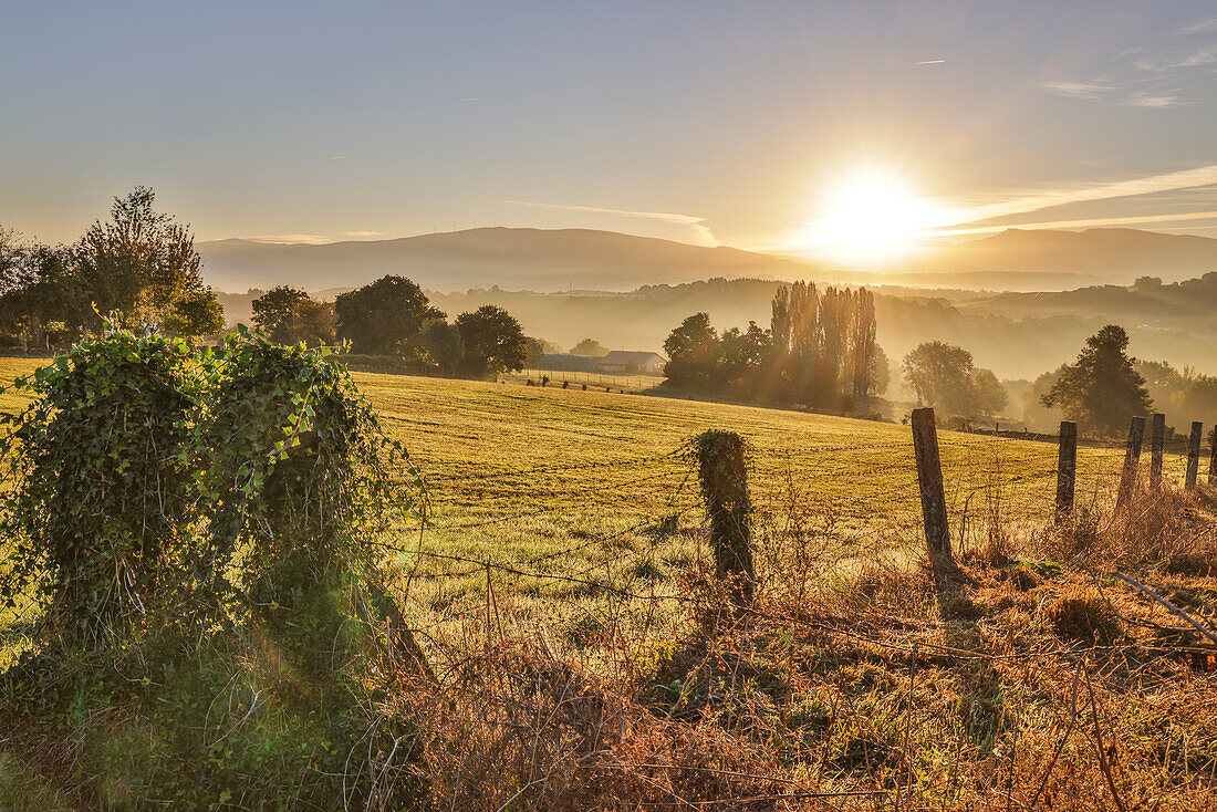 Spain, Galicia. Early morning on the Camino de Santiago near Vilei, Spain