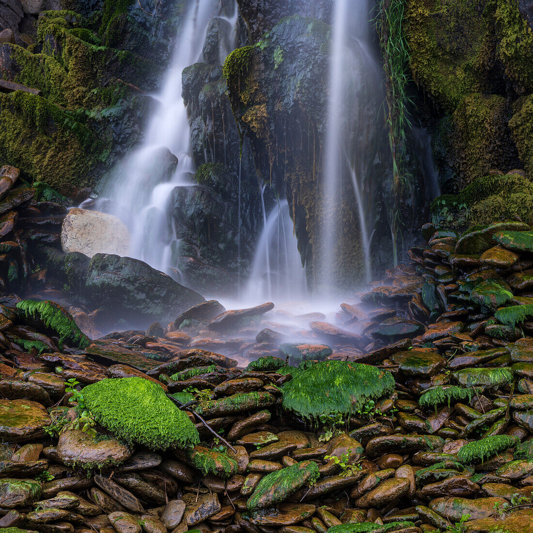 Ireland, Ferriter's Cove. Close-up of waterfall and mossy rocks.