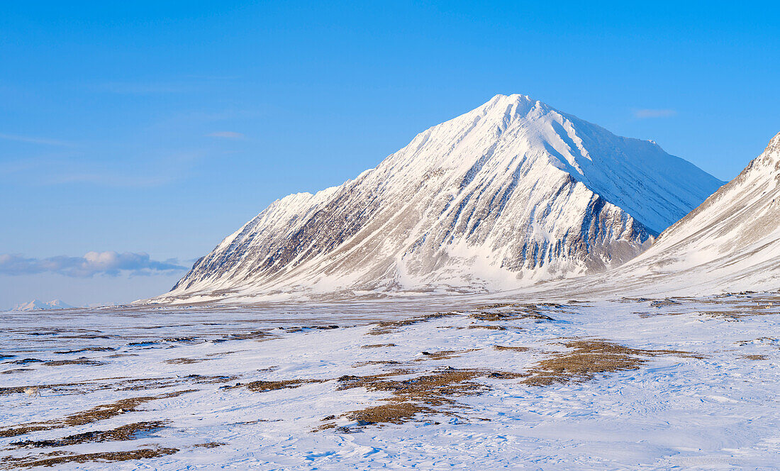 Coastal plain of Nordenskiold Coast. Landscape in Van Mijenfjorden National Park, (former Nordenskiold National Park), Island of Spitsbergen. Arctic region, Scandinavia, Norway, Svalbard