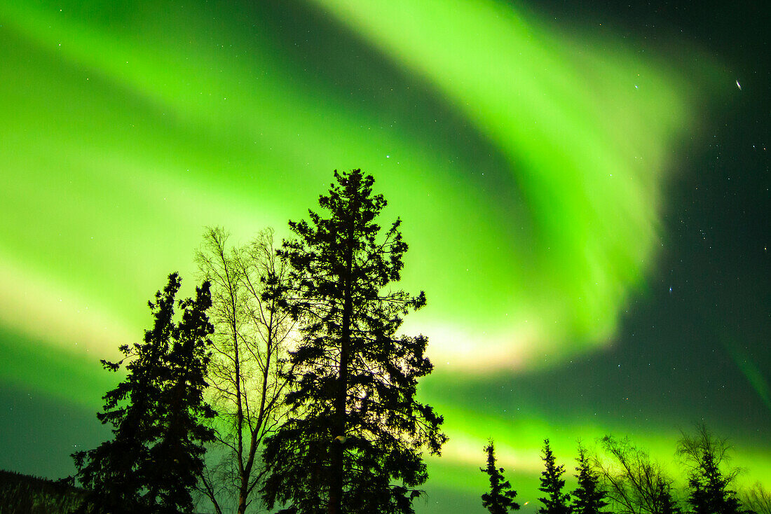 USA, Alaska, Chena Hot Springs Resort. Aurora Borealis füllt den Nachthimmel.