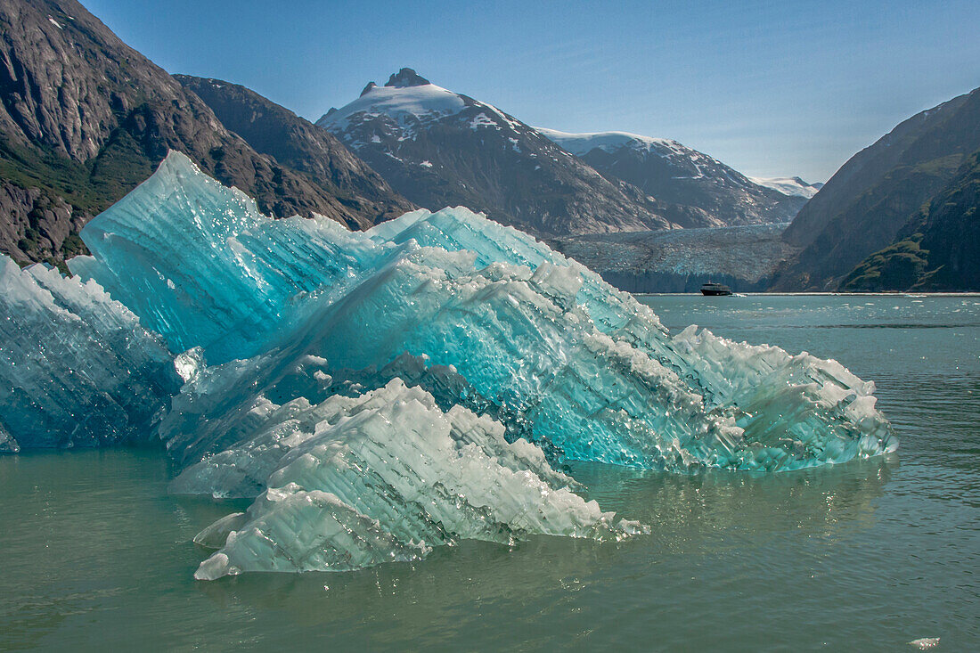 USA, Alaska, Tongass National Forest. Eisberge in der Bucht von Endicott Arm.