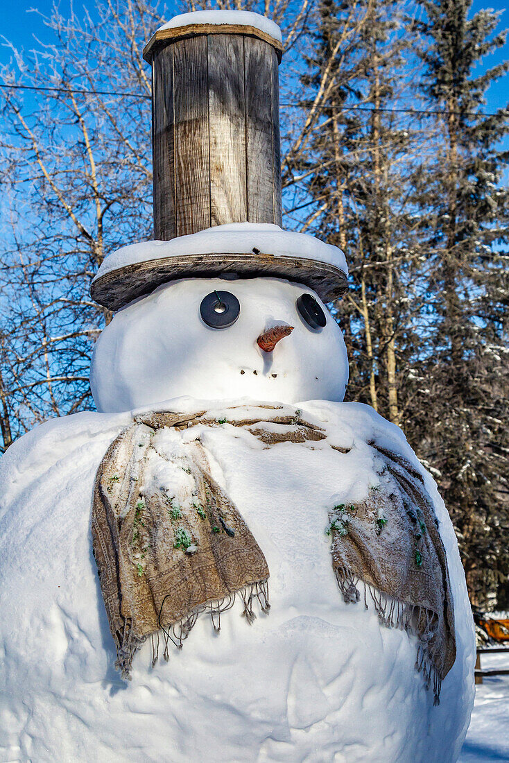 USA, Alaska, Chena Hot Springs Resort. Close-up of snowman.