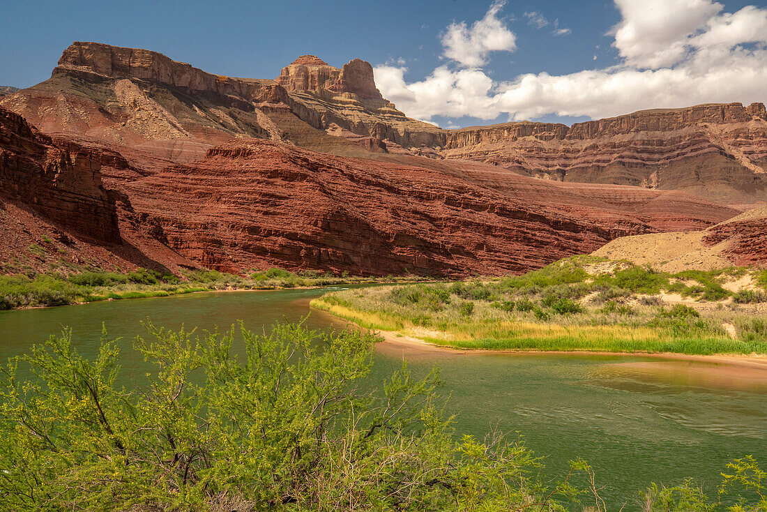 USA, Arizona, Grand Canyon National Park. Landscape with cliffs and Colorado River.