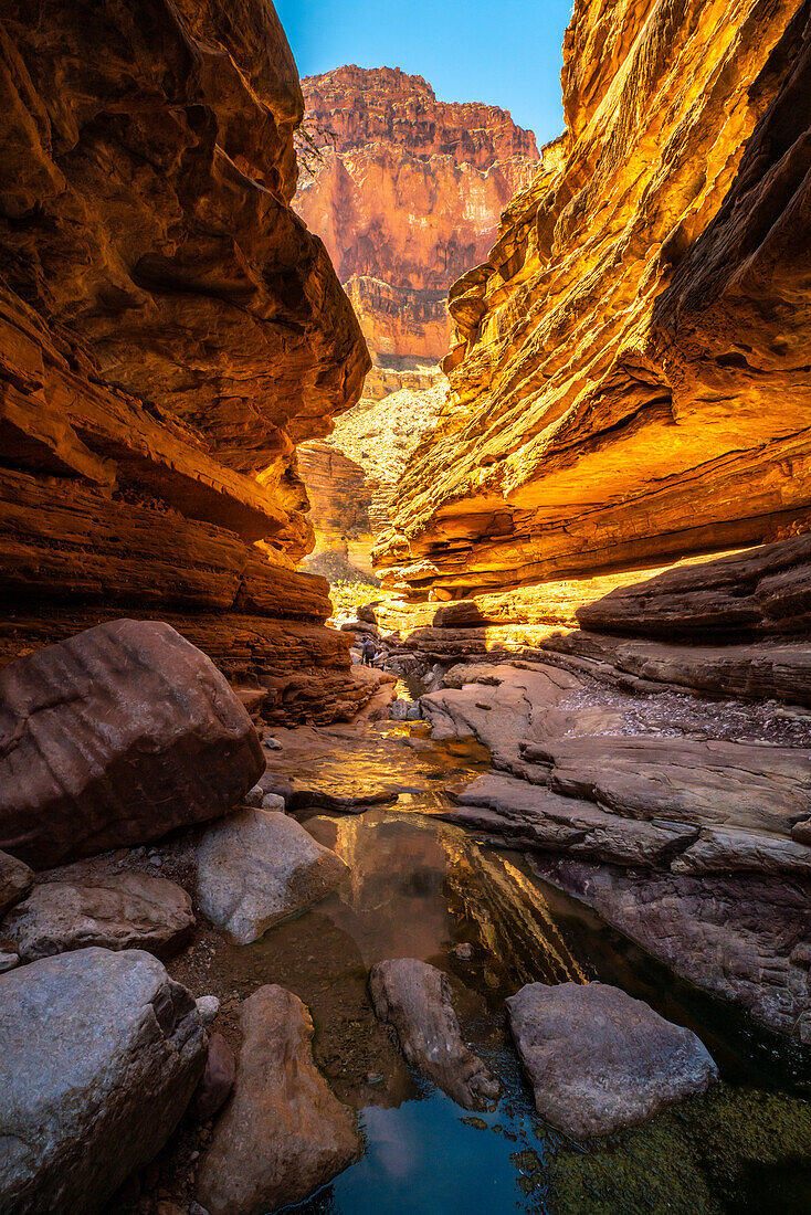 USA, Arizona, Grand-Canyon-Nationalpark. Pfad im Blacktail Canyon.