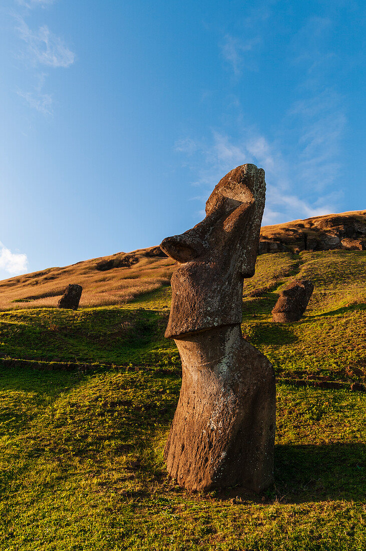 Moai-Statue bei Rano Raraku. Rapa Nui, Osterinsel, Chile