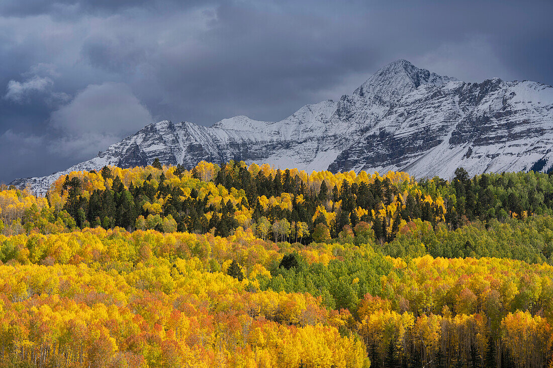 USA, Colorado, Uncompahgre National Forest. Storm clouds above Wilson Peak and autumn aspen forest.