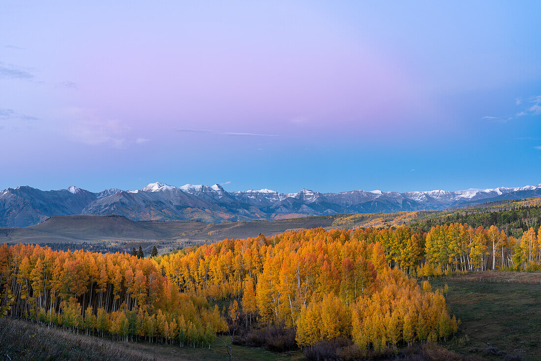 USA, Colorado, Uncompahgre National Forest. San Juan Mountains and aspen forest in autumn.