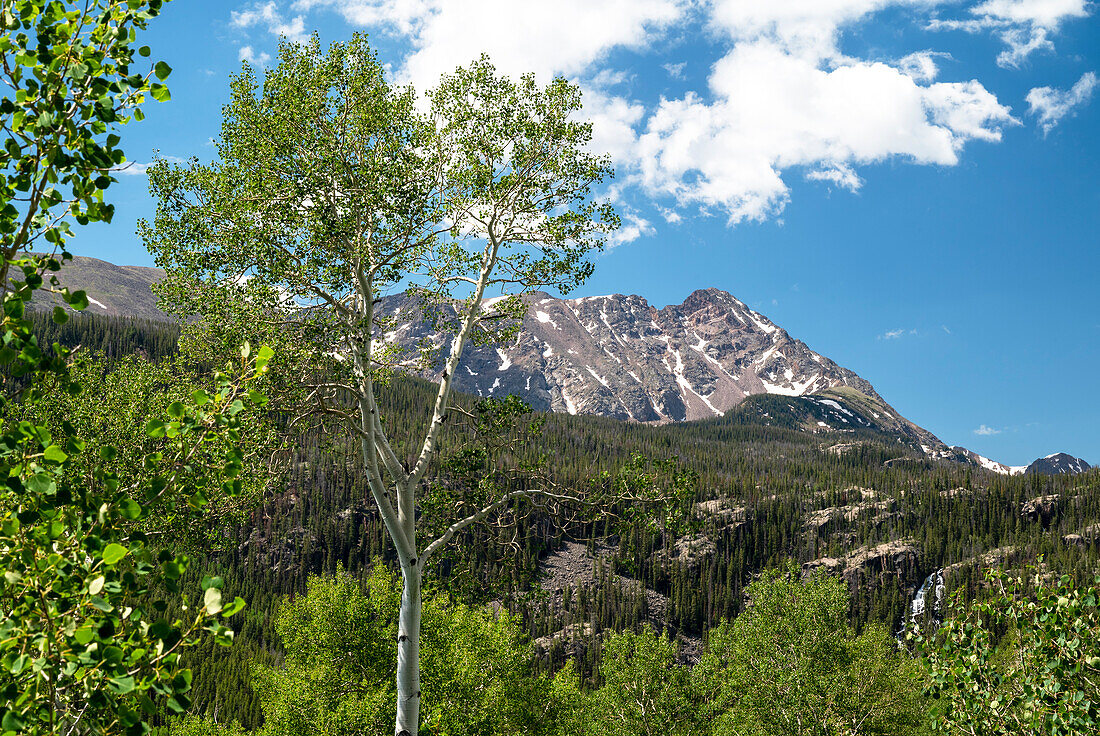 USA, Colorado. White River National Forest