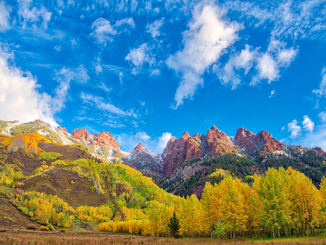 USA, Colorado, Aspen. Maroon Bells, snow-covered Aspens and firs