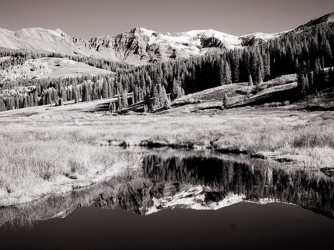 USA, Colorado. Infrared of Aspen trees reflecting in small river