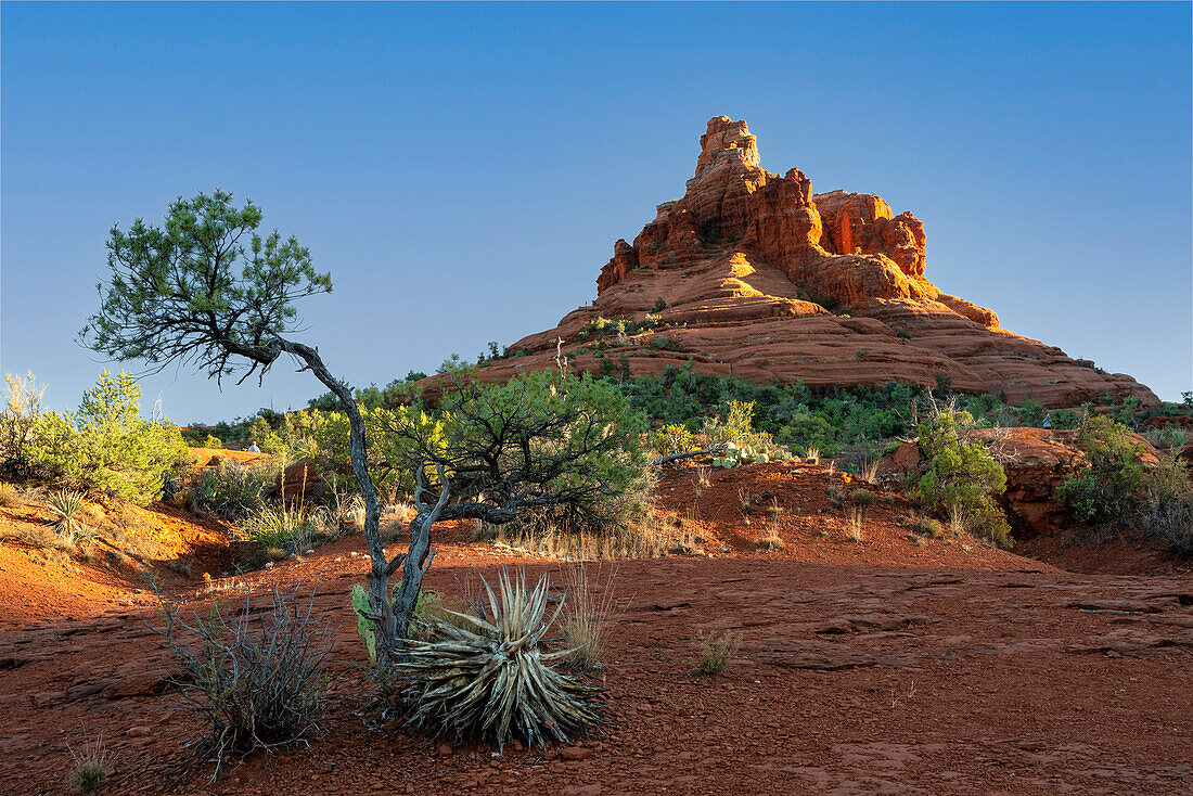 USA, Arizona, Sedona. Morgenlicht auf dem Bell Rock