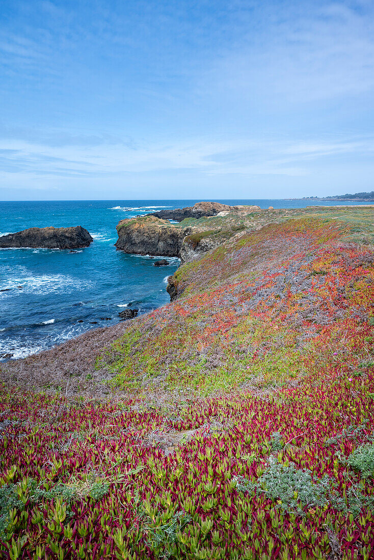 USA, California. Pacific Ocean, cliffs edge in Mendocino Headlands State Park.