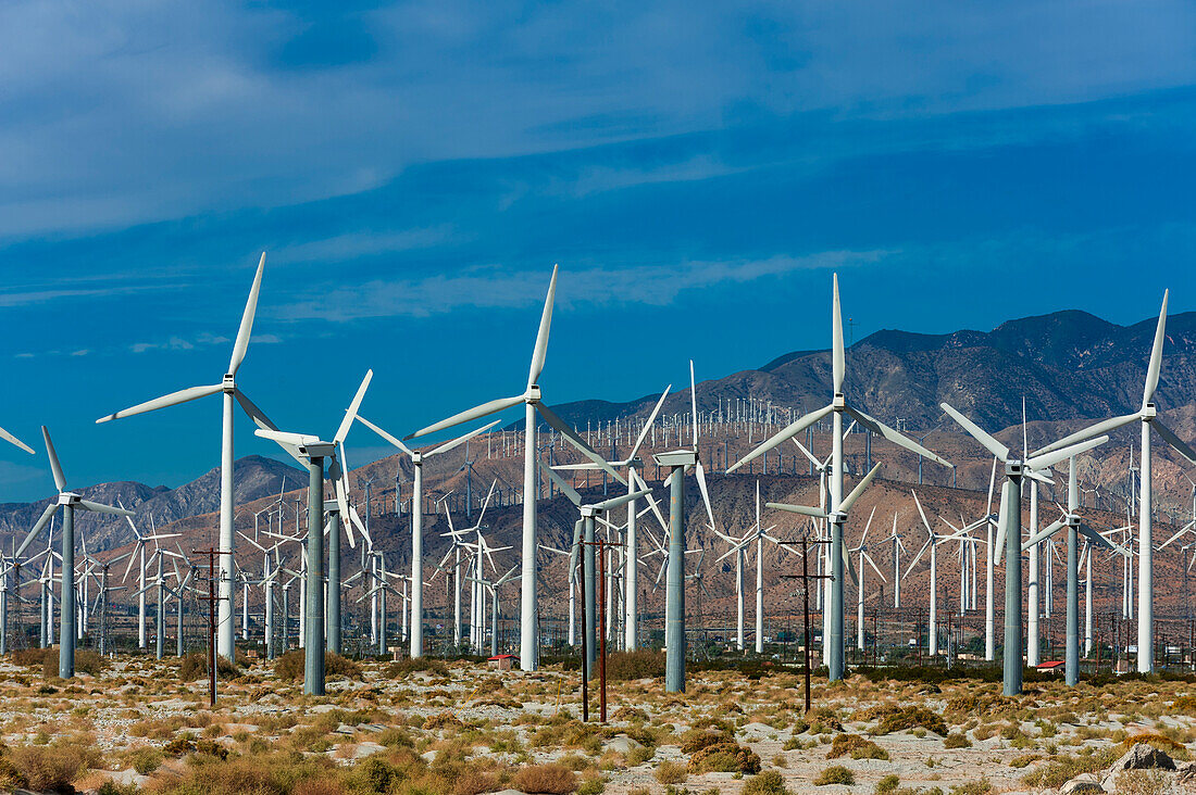 A wind farm in the San Gorgonio Pass near Palm Springs. San Jacinto Mountains, Riverside County, California, USA.