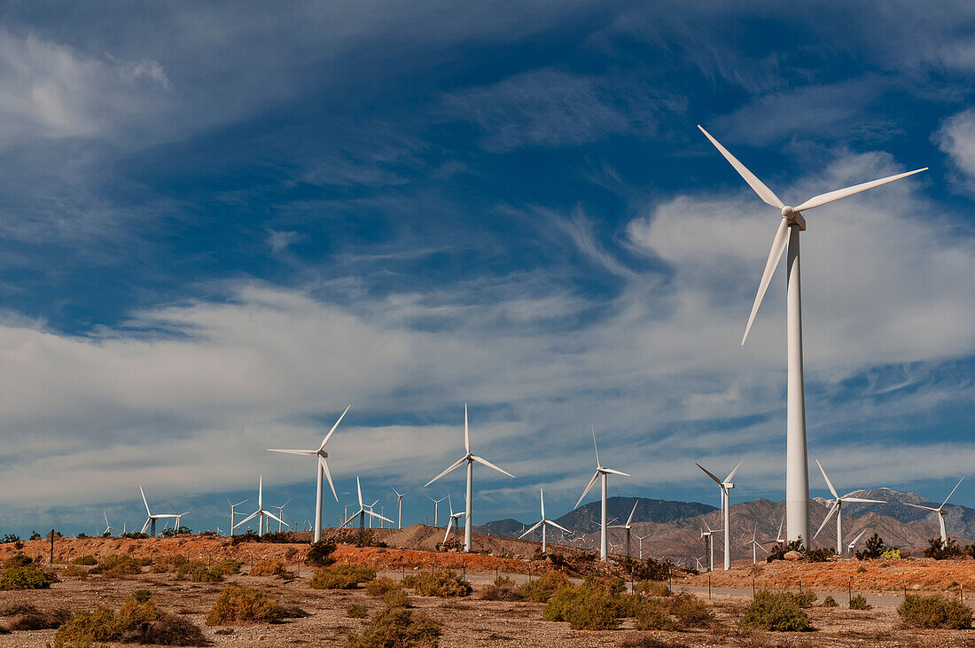 Rows of windmills on a wind farm. Palm Springs, California.