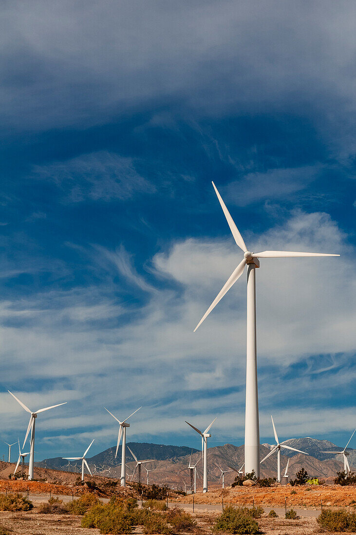 Reihen von Windrädern in einem Windpark. Palm Springs, Kalifornien.