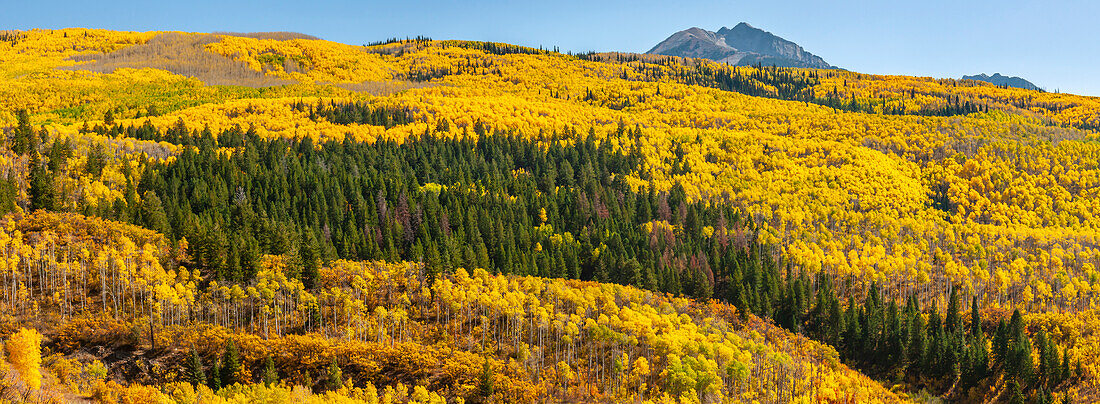 USA, Colorado, White River National Forest. Panoramic