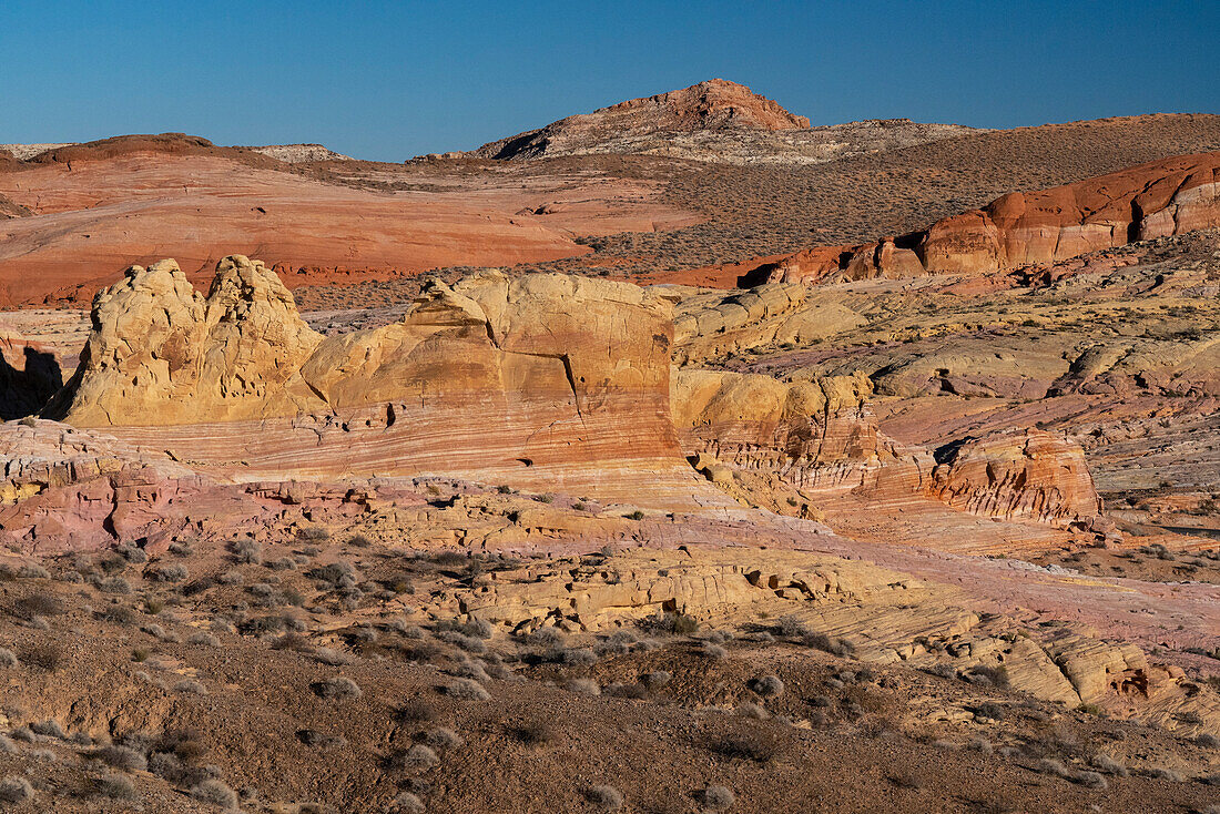 USA, Nevada. Abstract lines in the sandstone, Valley of Fire State Park.