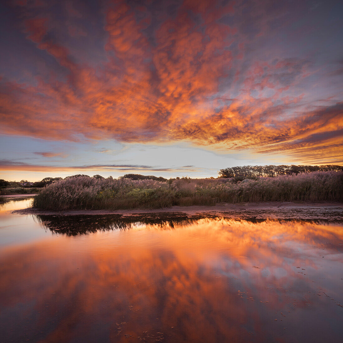 USA, New Jersey, Cape May National Seashore. Sonnenaufgang im Sumpfgebiet.