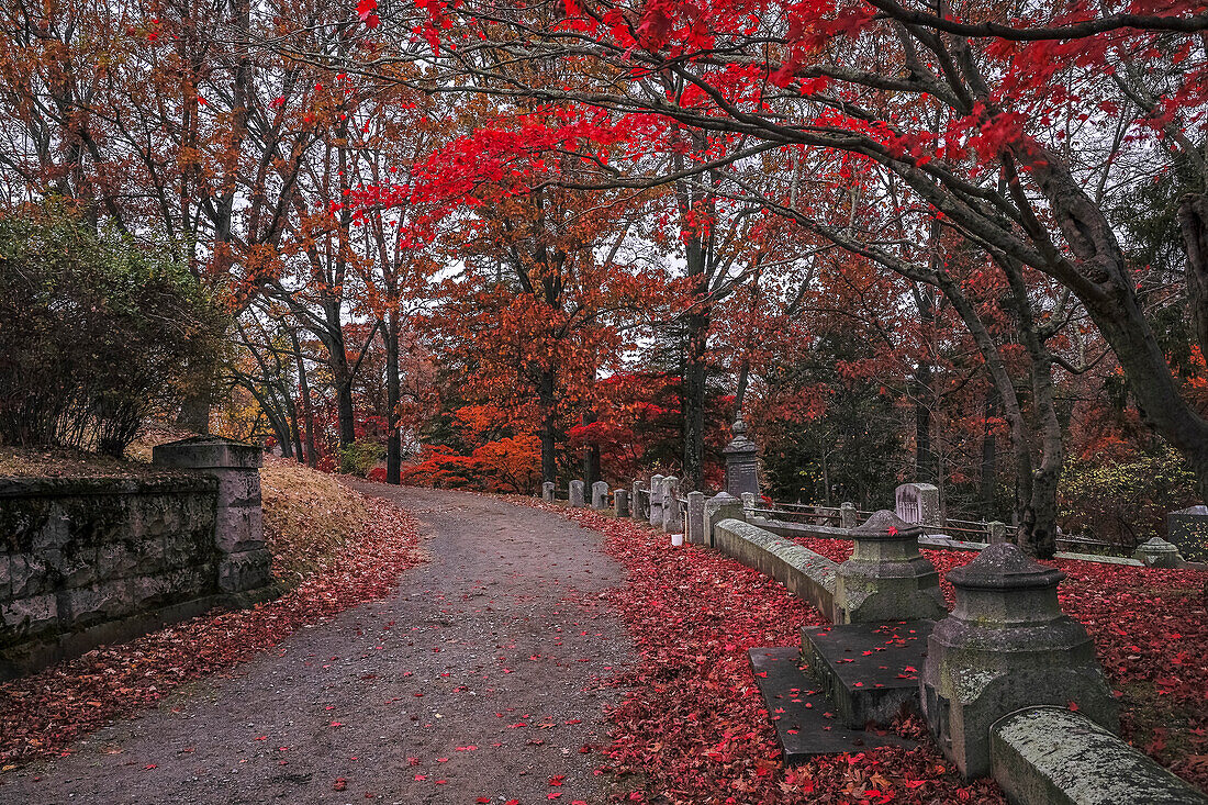 USA, Sleepy Hollow. Sleepy Hollow Cemetery. (PR)